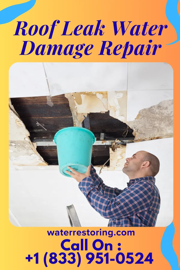 Roof Leak Water Damage Repair in Burlington, CO